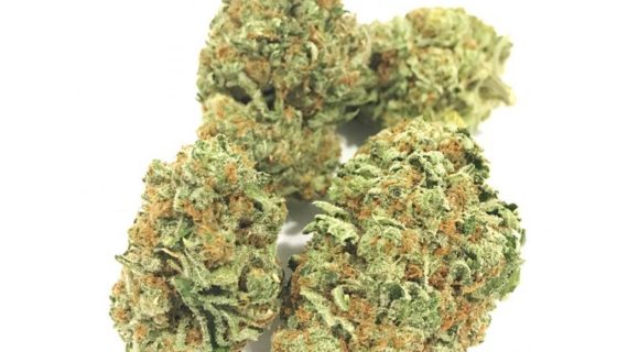 cannabis